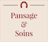 Complments, soins externes et pansage